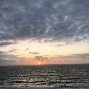 Meet your Posher, Elena